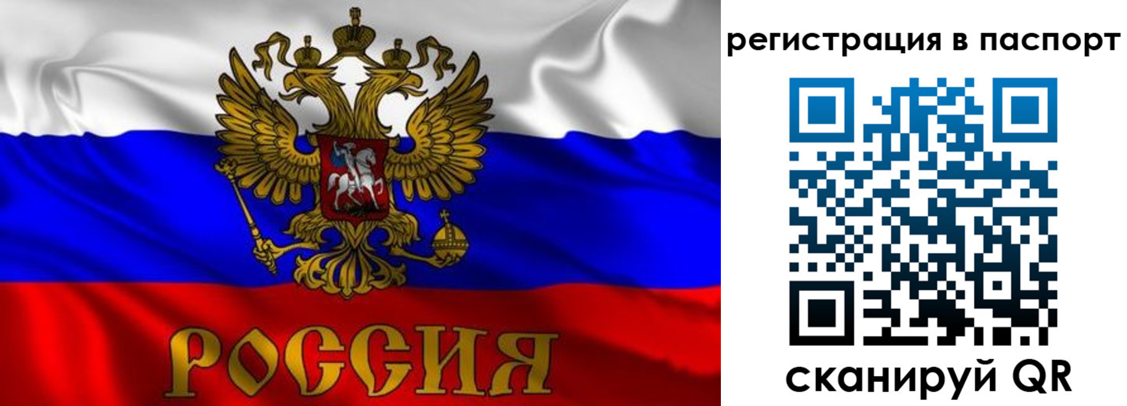 найти адрес прописки в Жердевке